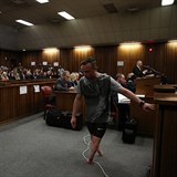 Pistorius byl odsouzen k pti letm vzen za zabit z nedbalosti. Po odvoln...