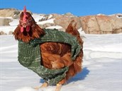 V Grónsku dostala Monika svetr, aby jí nebyla zima. Ten se jí bude hodit i na...