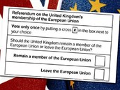 Nesouhlas s Brexitem je popením demokracie. O setrvání v Unii si rozhodnou...