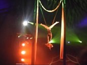 Akrobatický kousek v cirkusu Berousek se tentokrát nepovedl.