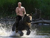 Kdy nevyjde projekt samoídících aut, spolehne se Putin na samoídící medvdy.