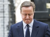 Brexit musí vést nový kapitán, ekl Cameron na tiskové konferenci.