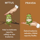 Skuten od ropuchy mete dostat bradavice?