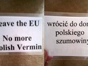 Vystupte z EU - u ádná polská verbe! aneb jak vkusn podpoit Brexit...