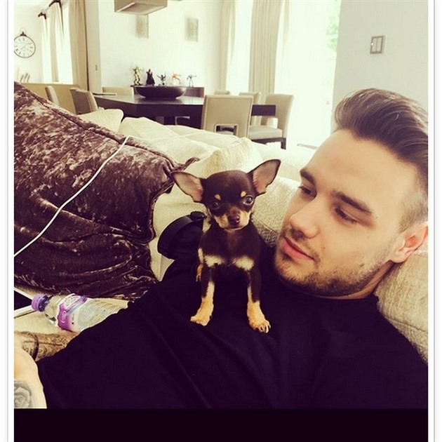 Cheryl a Liam Payne mají v rodin nový pírstek