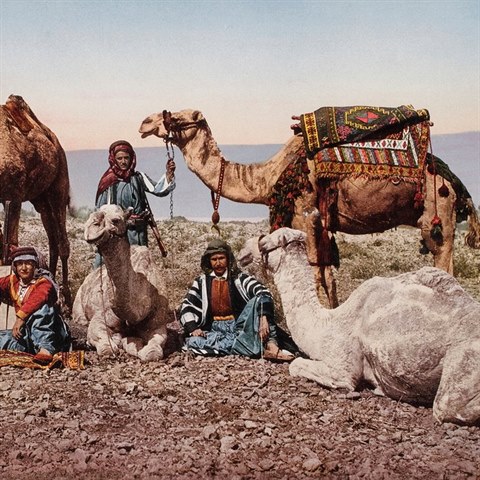 Koovn karavany na velbloudech brzdili pout Egypta, Tuniska a Libye, kde...