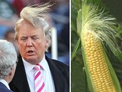 Trump má na hlav místo vlas naité silonky.