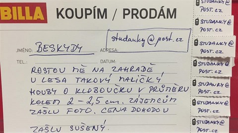 Mezi inzeráty v supermarketech se dá obas najít bizarní klenot. Dkazem je...