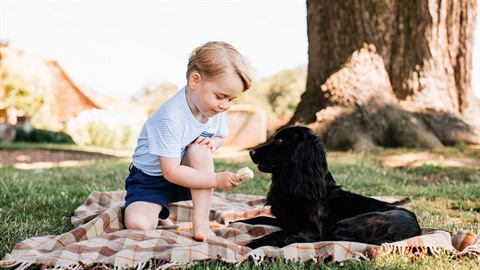 Malý prince George pod palbou kritiky.
