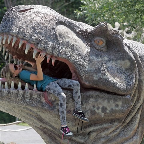 Nezapomete si udlat fotku s Tyrannosaurem Rexem v ivotn velikosti.