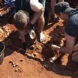 Objev byl uinn v Jihoafrick republice a podle acheolog bude zlomov pro...