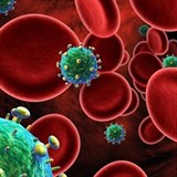 Virus HIV patří mezi tzv. lentiviry, které zanechávají otisk v DNA napadených...