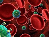 Virus HIV patí mezi tzv. lentiviry, které zanechávají otisk v DNA napadených...