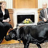 Pi setkn s Merkelovou ml rusk pes viditeln navchr.
