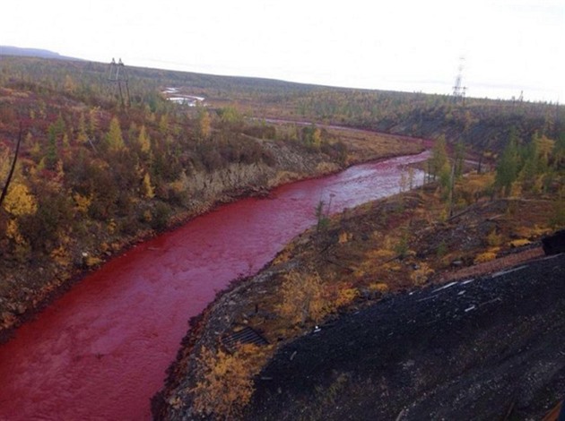 Řeka Daldykan na Sibiři se zbvarvial do sytě rudé.