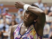 Venus Williamsovou vyadila Karolína Plíková v osmifinále, s její sestrou...