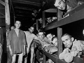 V koncentraních táborech nacisté vyvradili miliony vz.