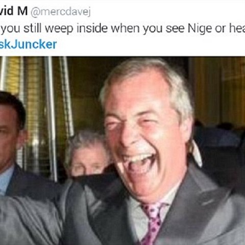 Stle se vnitn rozplete, kdy vidte nebo slyte Nigela Farage?
