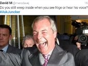 Stále se vnitn rozpláete, kdy vidíte nebo slyíte Nigela Farage?