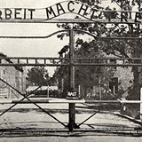 Nápis nad osvětimskou bránou, jehož překlad je notoricky známý.