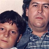Hrochy počátkem 90. let Escobar ilegálně obstaral jako zdroj obveselní pro...