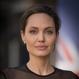 Angelina Jolie byla zvolená nejkrásnější ženou roku 2009.