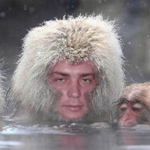 Po ledovm sibiskm ni nen nad horkou koupel s makaky