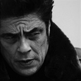 Benicio del Toro.