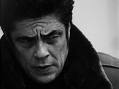 Benicio del Toro.