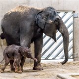 Na sln se mohou nvtvnci ZOO podvat ji dnes. V oddlenm vbhu je spolu...