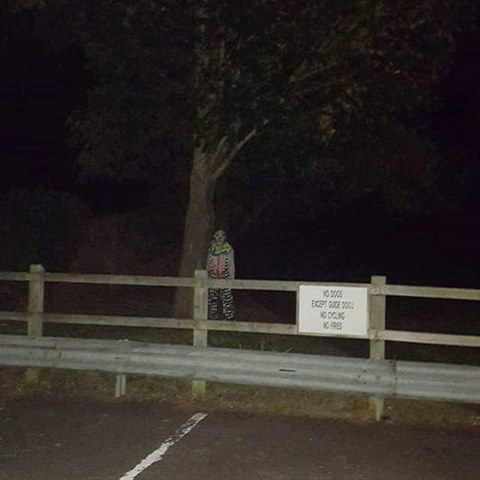 Klaun zachycen v hrabstv Somerset.