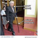 Zemanova kauza o nevyznamenn Bradyho.