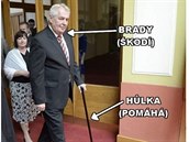 Zemanova kauza o nevyznamenání Bradyho.