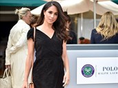 Randí Meghan doopravdy s princem Harrym?