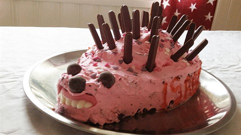 Kdo by si k narozeninám nepřál dort ve tvaru z kůže staženého ježka?