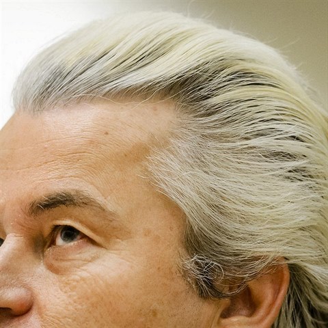 Nizozemsk politik Geert Wilders a jeho vlasy, jedna z velkch zhad lidstva.