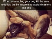 Pi sestavování vaeho psa dodrujte instrukce a vyhnete se takovýmto...
