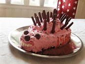 Kdo by si k narozeninám nepál dort ve tvaru z ke staeného jeka?