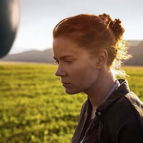 Vkon Amy Adams je podle mnohch hlas na oscarovou nominaci.