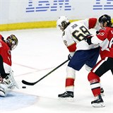 Proti Ottawě odehrál Jaromír Jágr nejlepší zápas v tomto ročníku NHL.