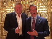 Britský politik a jeden z hlavních organizátor Brexitu Nigel Farage by mohl v...