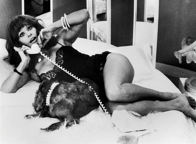 V Gangsterov milence z chvatn Sophia Loren.
