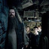 Postava Hagrida se v Harry Potterovi objevovala od samého počátku až do konce.