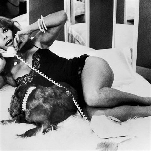 V Gangsterov milence z chvatn Sophia Loren.