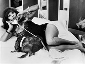V Gangsterov milence záí úchvatná Sophia Loren.