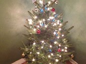 Rozmrzelá koka me zdobit strom tch, kteí Vánoce nesnáí, ale slavit je...