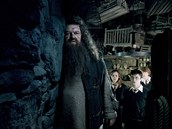 Postava Hagrida se v Harry Potterovi objevovala od samého poátku a do konce.