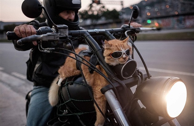 Na odlehenou nco z mst, kde je svt jet v podku. Brazilsk motork u...