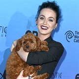 Katy Perry a Butters Perry