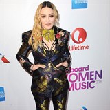 Madonna nezklamala a opět oblékla divočinu.